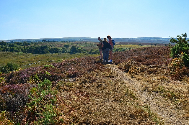 05 09 13_8521_edited-1.jpg - BNSS - STUDLAND, ISLE OF PURBECK - 5.9.13